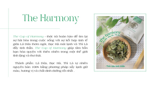 Tra-mix-the-harmony-4