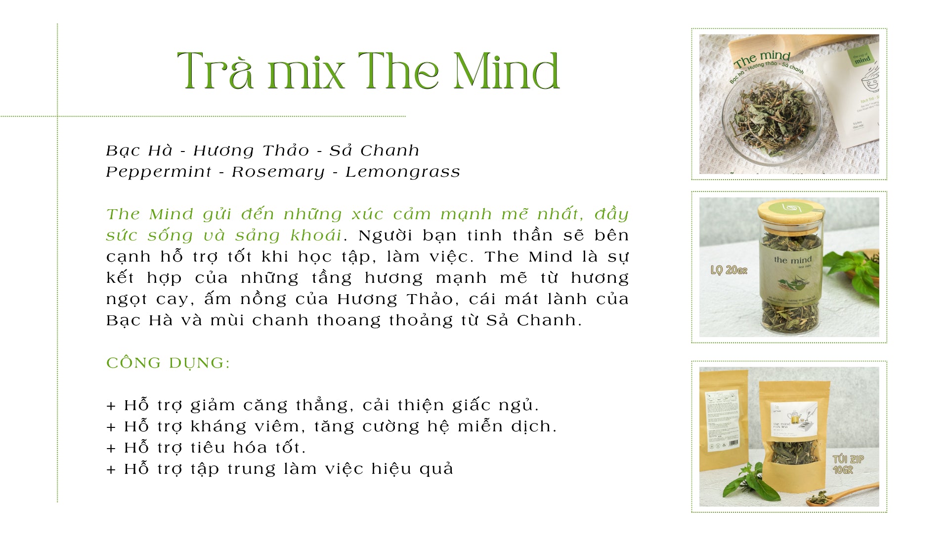 Tra-mix-the-mind-5